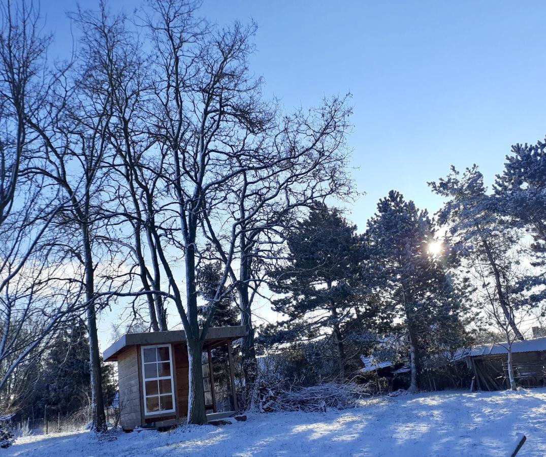 Haus 2 Linden Lägenhet Lischow Exteriör bild