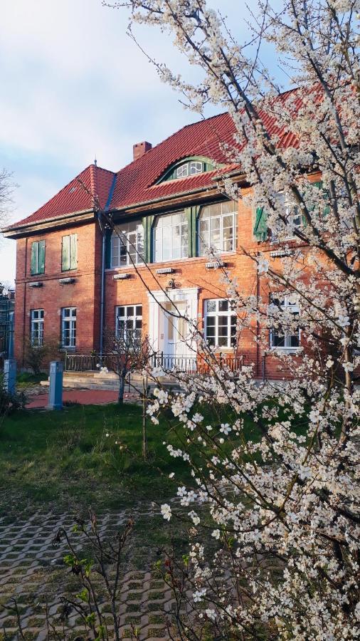 Haus 2 Linden Lägenhet Lischow Exteriör bild