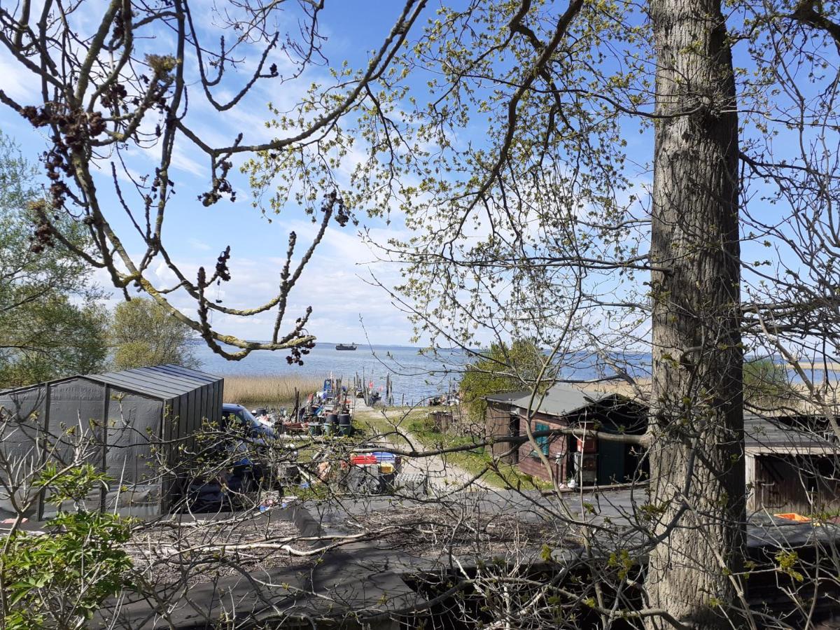 Haus 2 Linden Lägenhet Lischow Exteriör bild